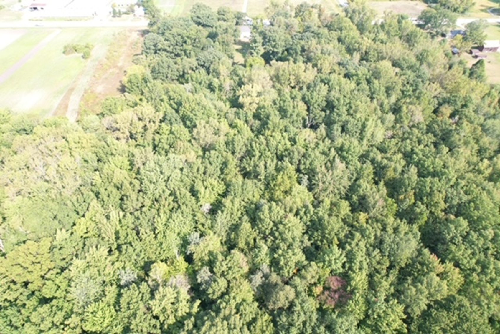 Image for MINIMUM BID AUCTION $79,000! 8891 Central Ave