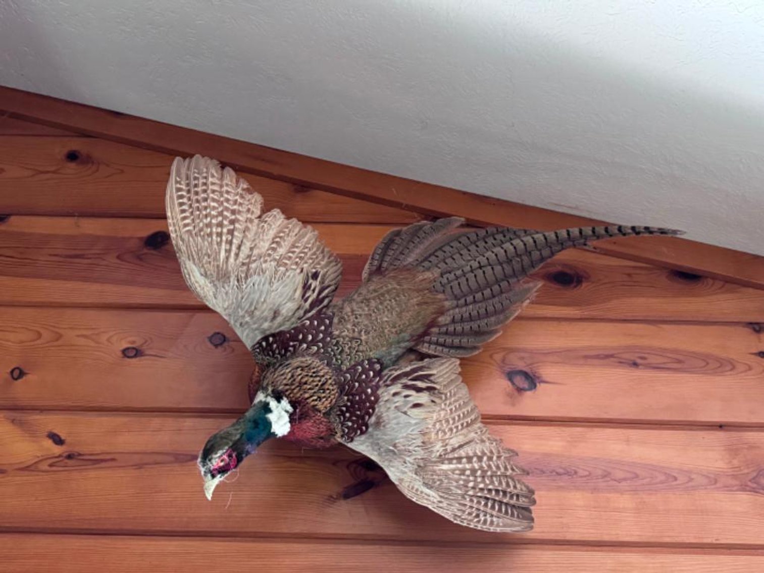 Image for TRUCK, TRACTOR, TOOLS AND MORE ONLINE ONLY AUCTION