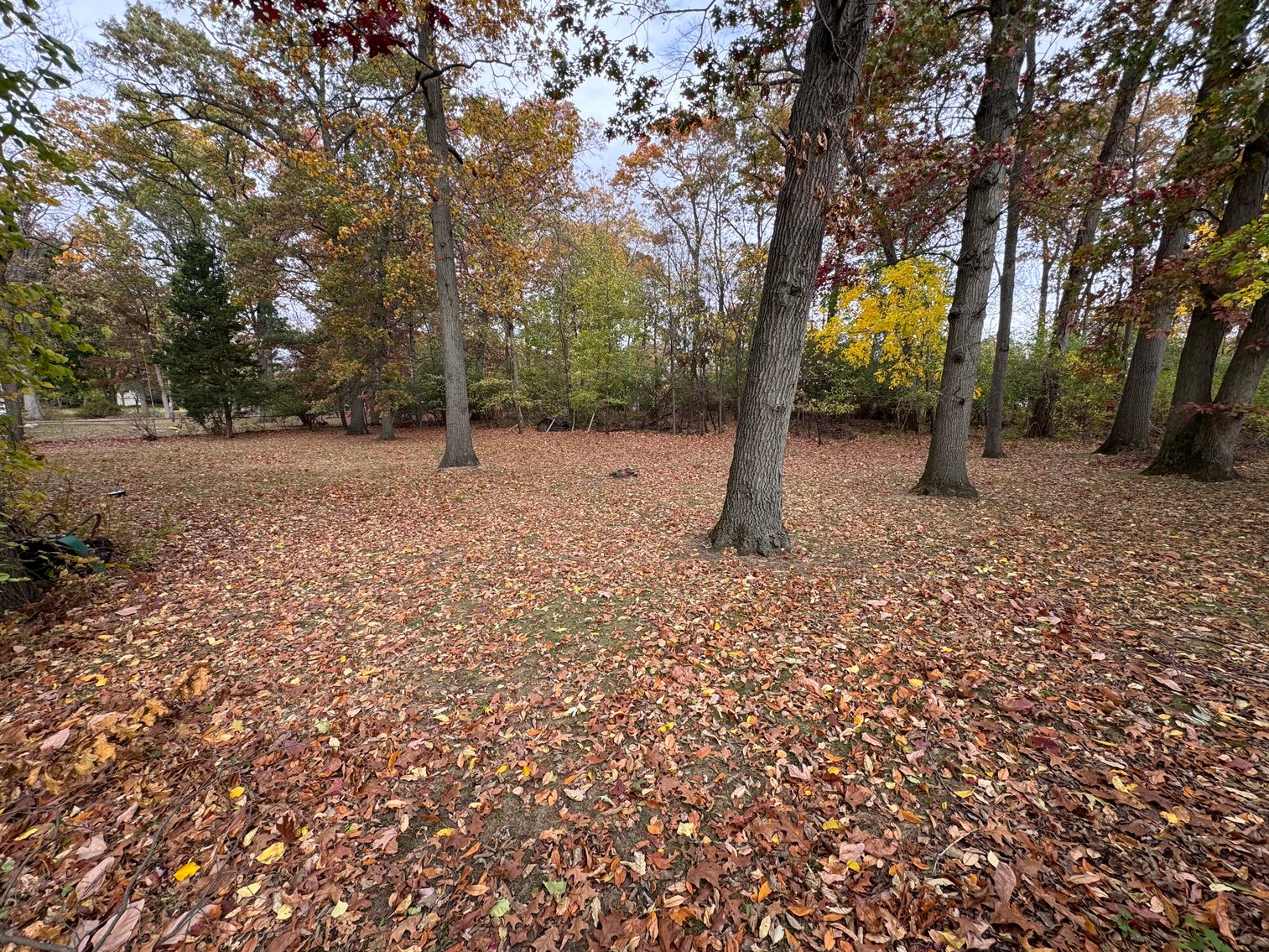 Image for SOLD PRIOR TO AUCTION! 4508 N Holland Sylvania