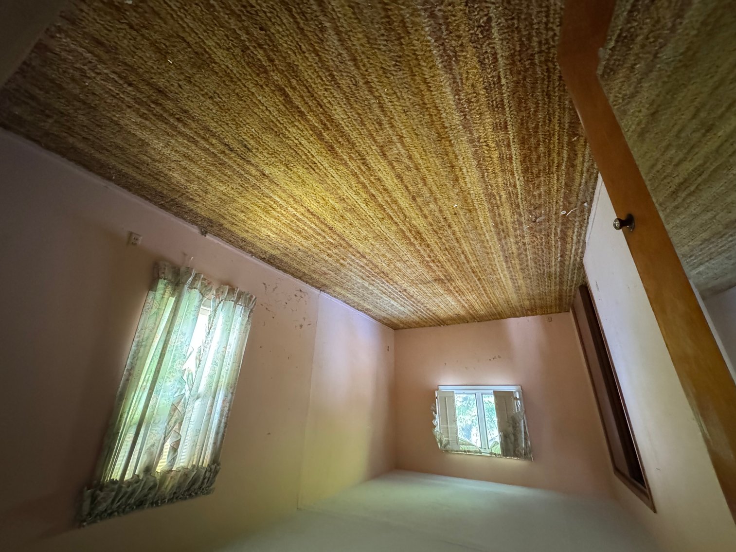 Image for POSTPONED UNTIL FURTHER NOTICE! 1949 Metz Ave