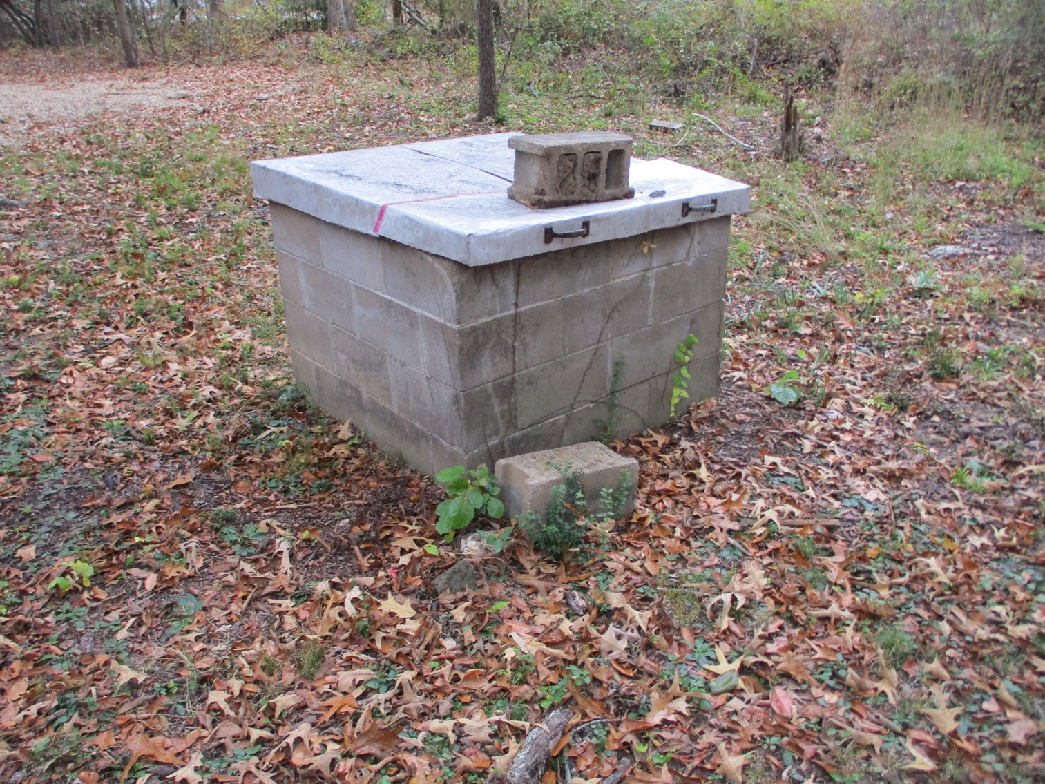 Image for 1729 Hwy 63, Williford, AR