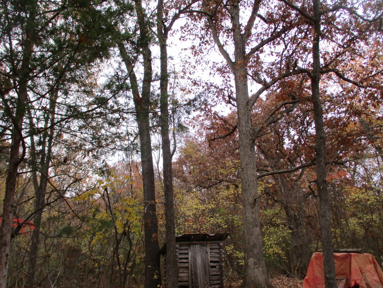 Image for 1729 Hwy 63, Williford, AR