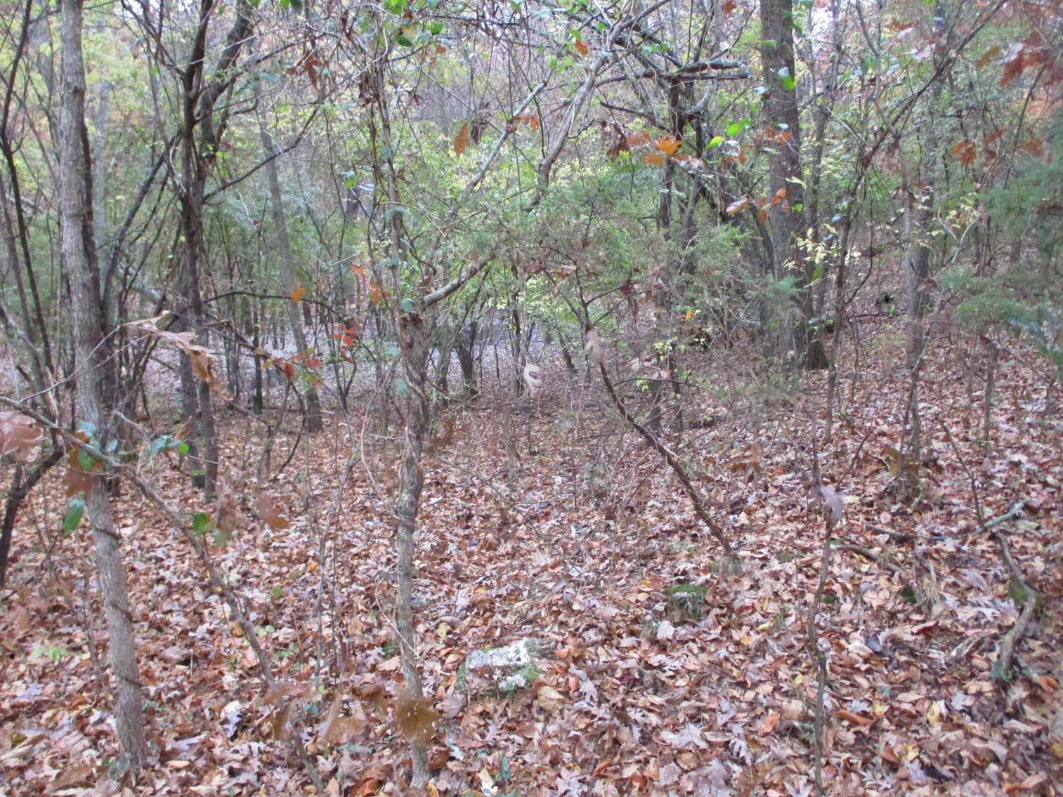 Image for 1729 Hwy 63, Williford, AR