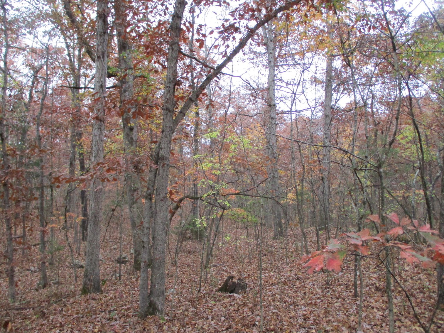 Image for 1729 Hwy 63, Williford, AR