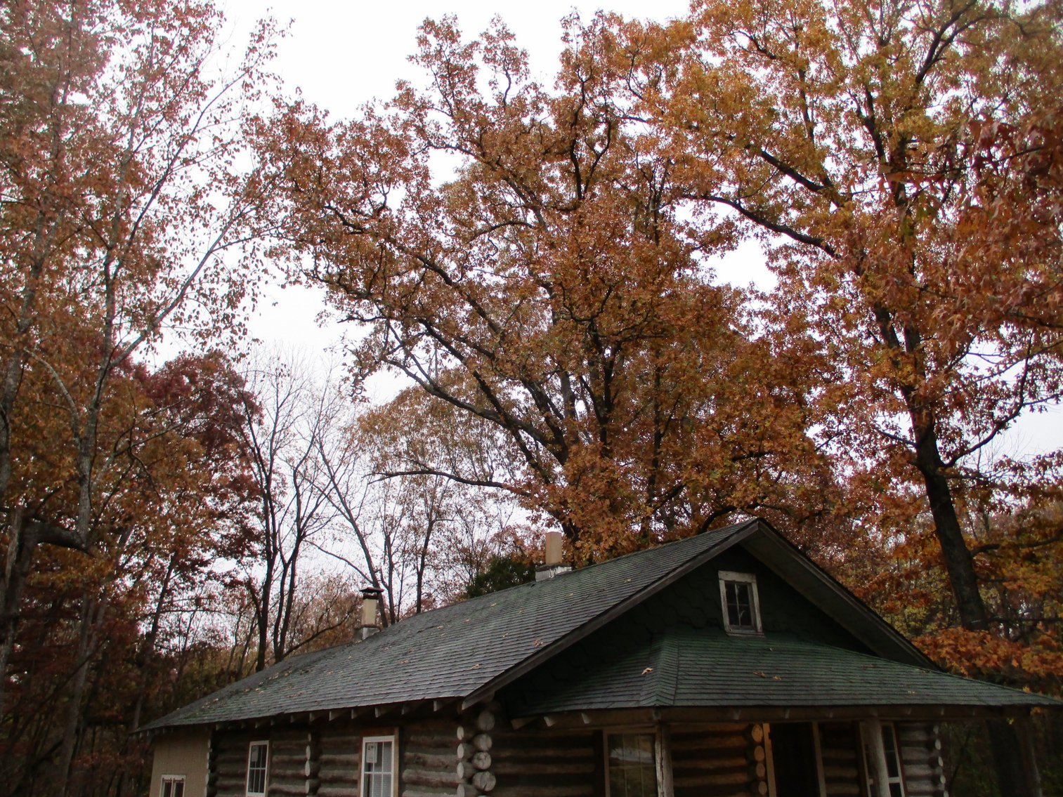 Image for 1729 Hwy 63, Williford, AR