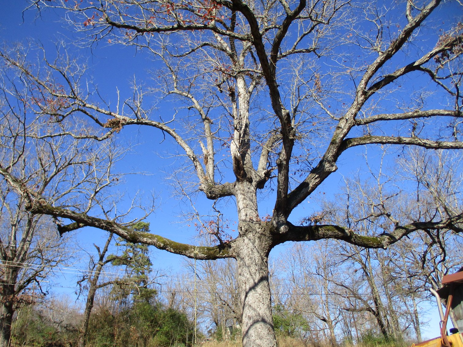 Image for 487 E Mary St, Williford, AR 72482