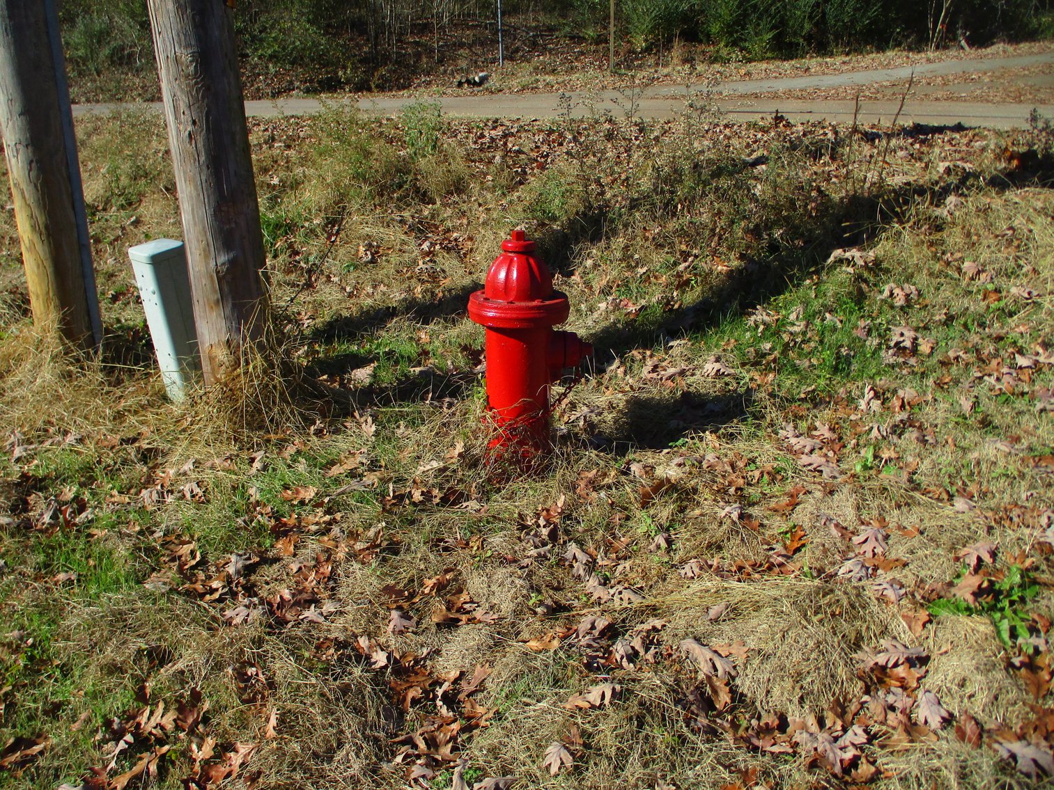 Image for 487 E Mary St, Williford, AR 72482