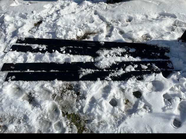 Image for 2025 Winter Mt. Sterling Auction