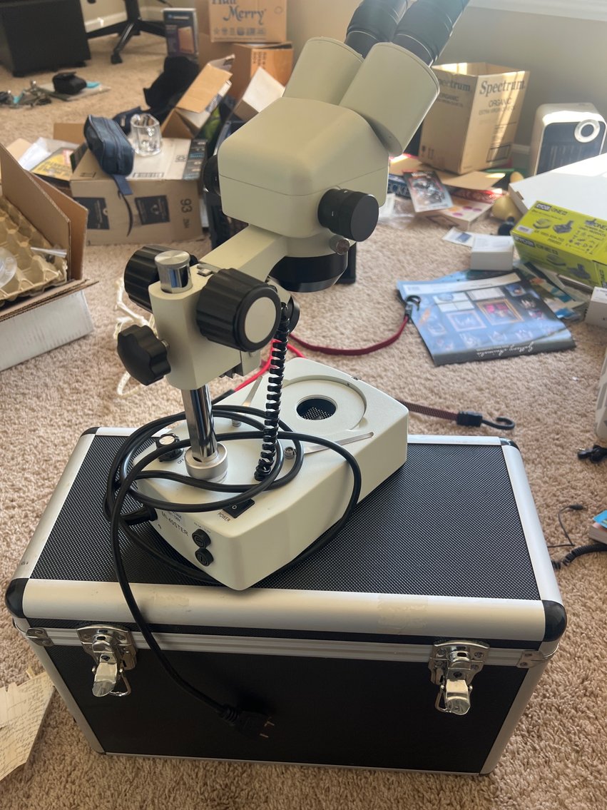 Image for Small Estate of Michael Bracewell