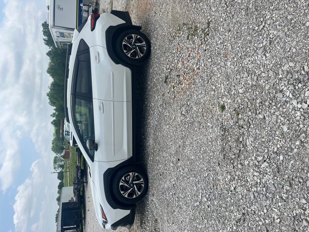 Image for Small Estate of Michael Bracewell