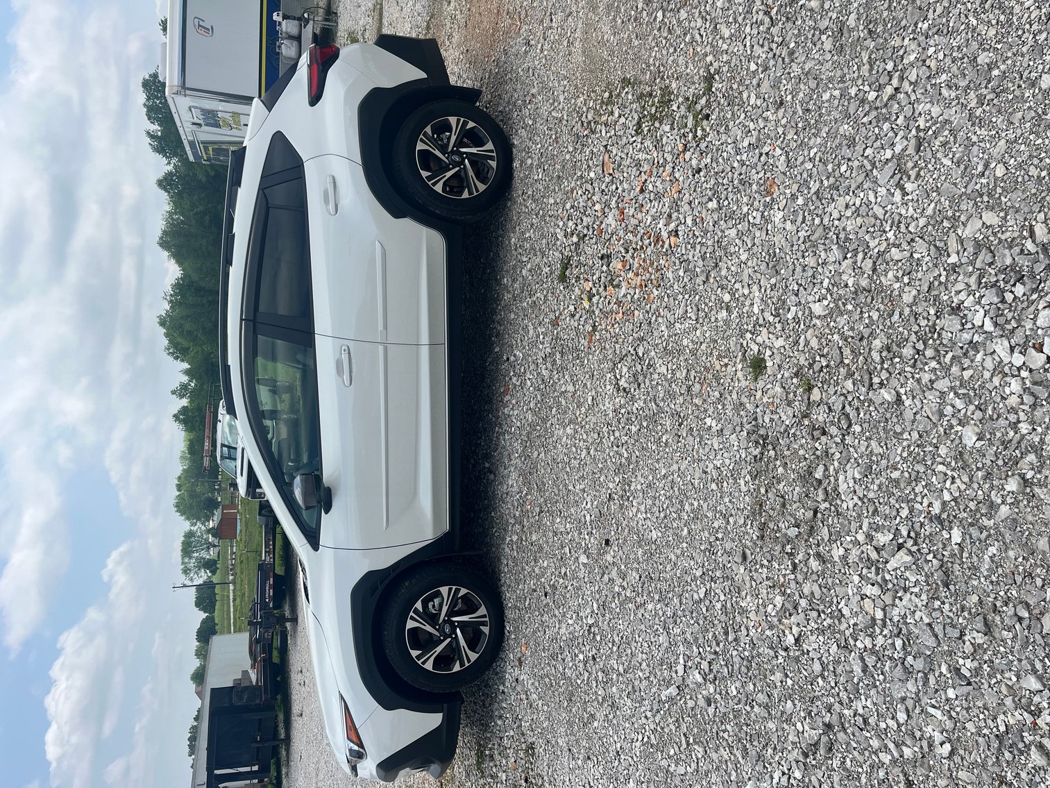 Image for Small Estate of Michael Bracewell