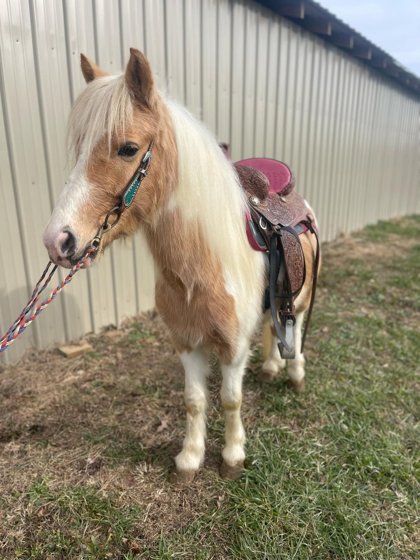 Image for 606 New Year Sale 2025