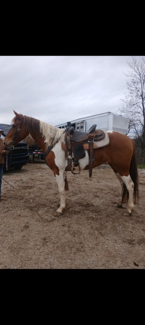 Image for 606 New Year Sale 2025