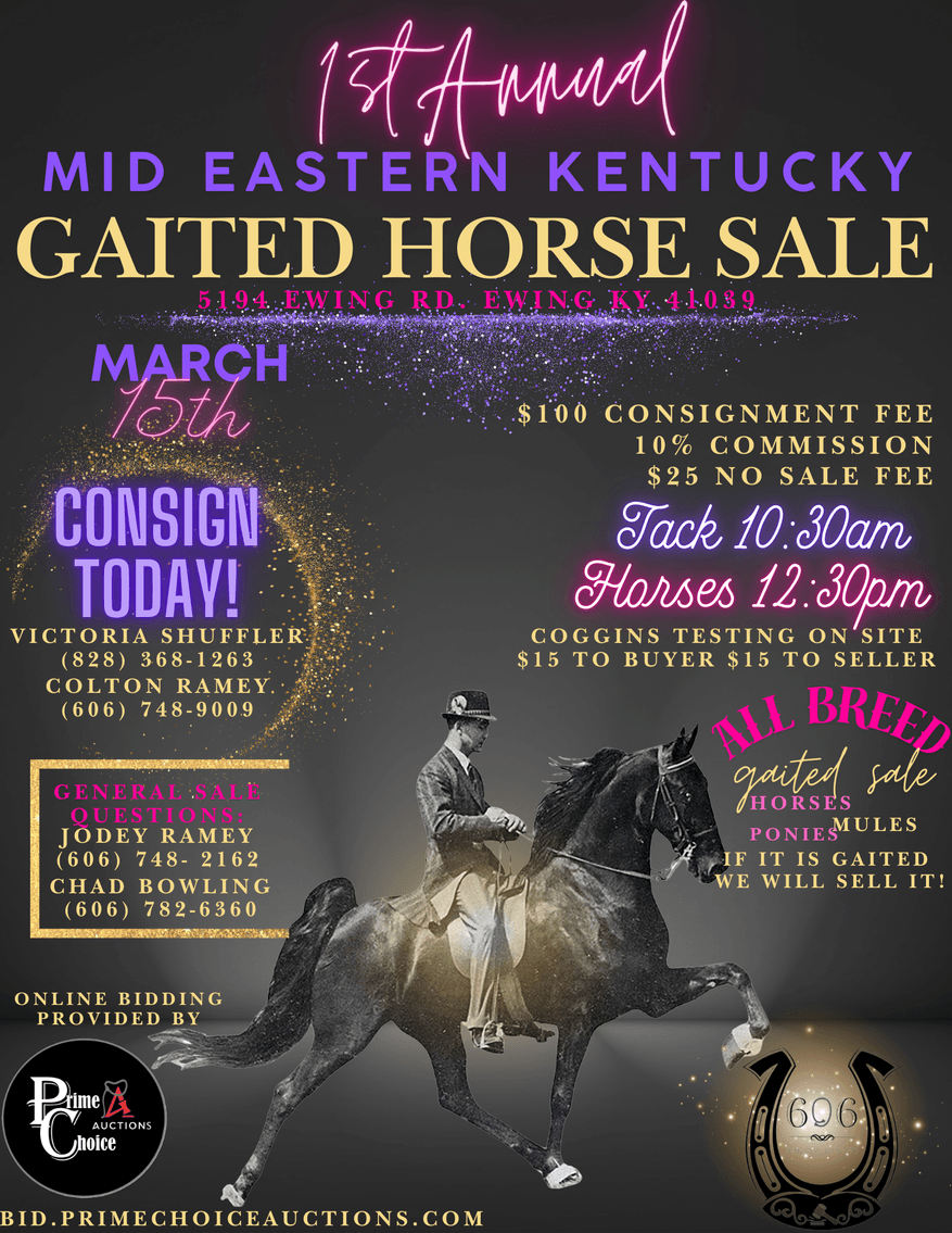 Image for Mid Eastern Kentucky Gaited Horse Sale