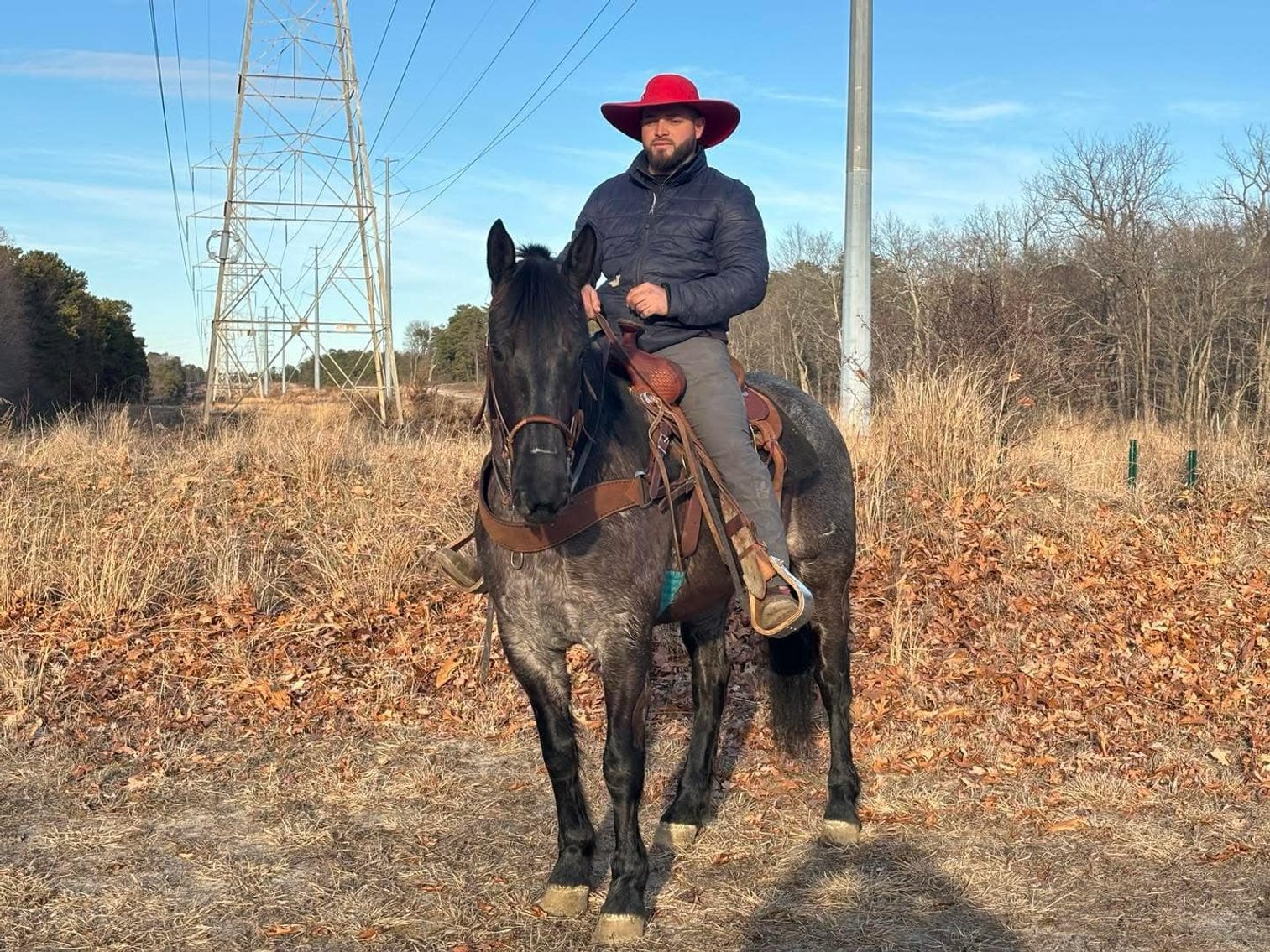 Image for Lumberton Horse and Tack Auction March 2025