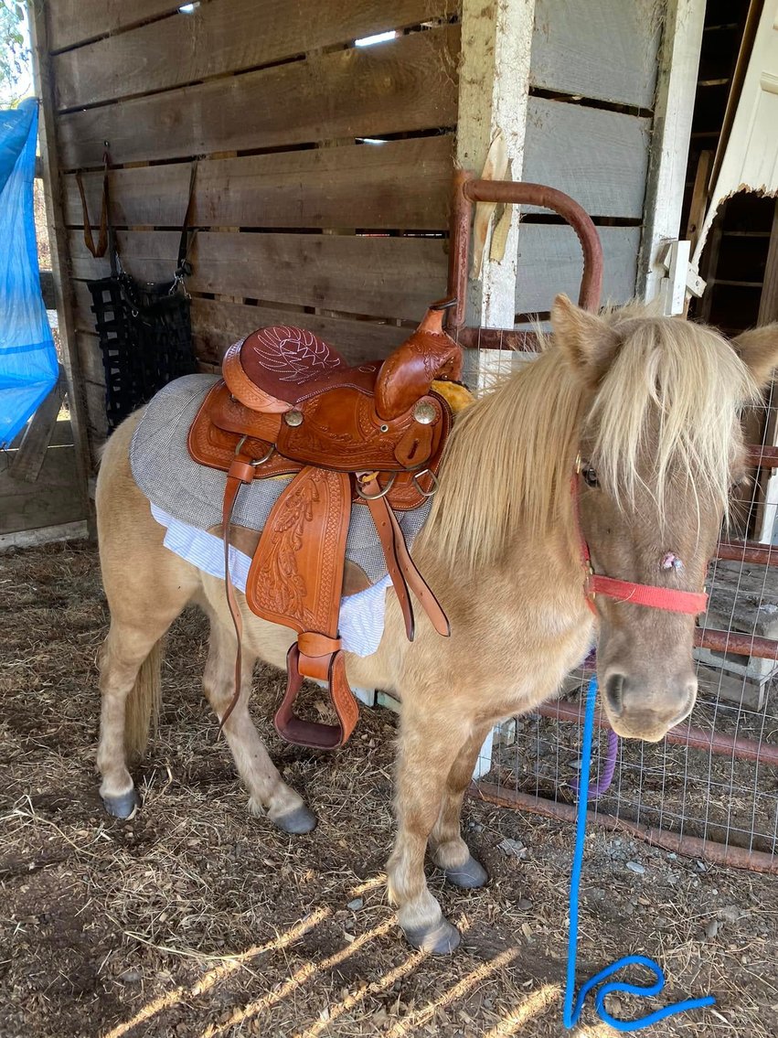 Image for Southern Premier Spring Catalog Sale