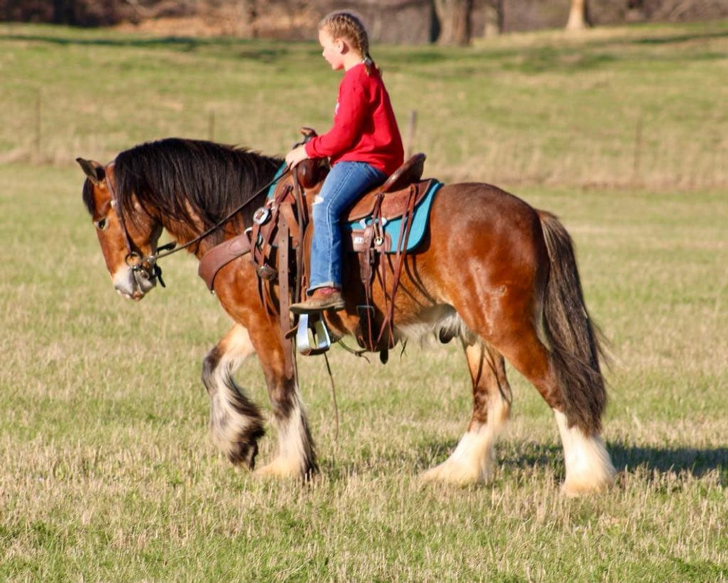 Image for Eastern Elite Select Sale