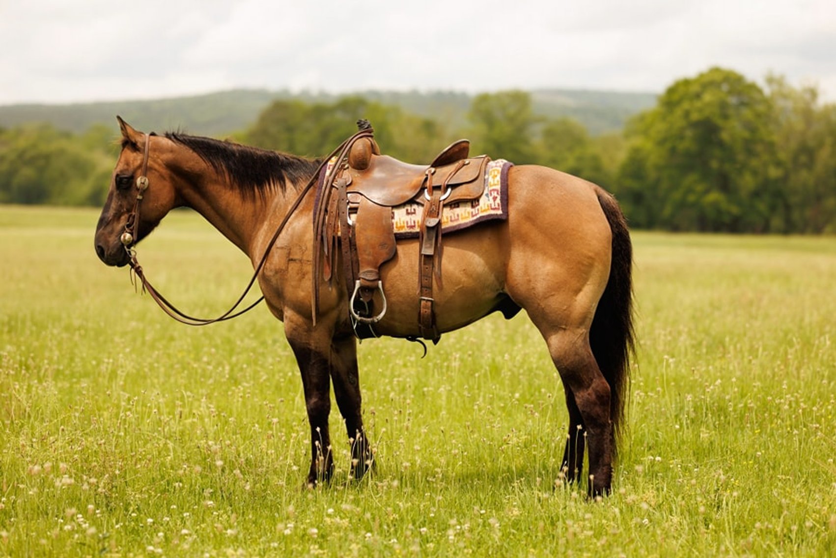 Image for KS Select Spring Sale