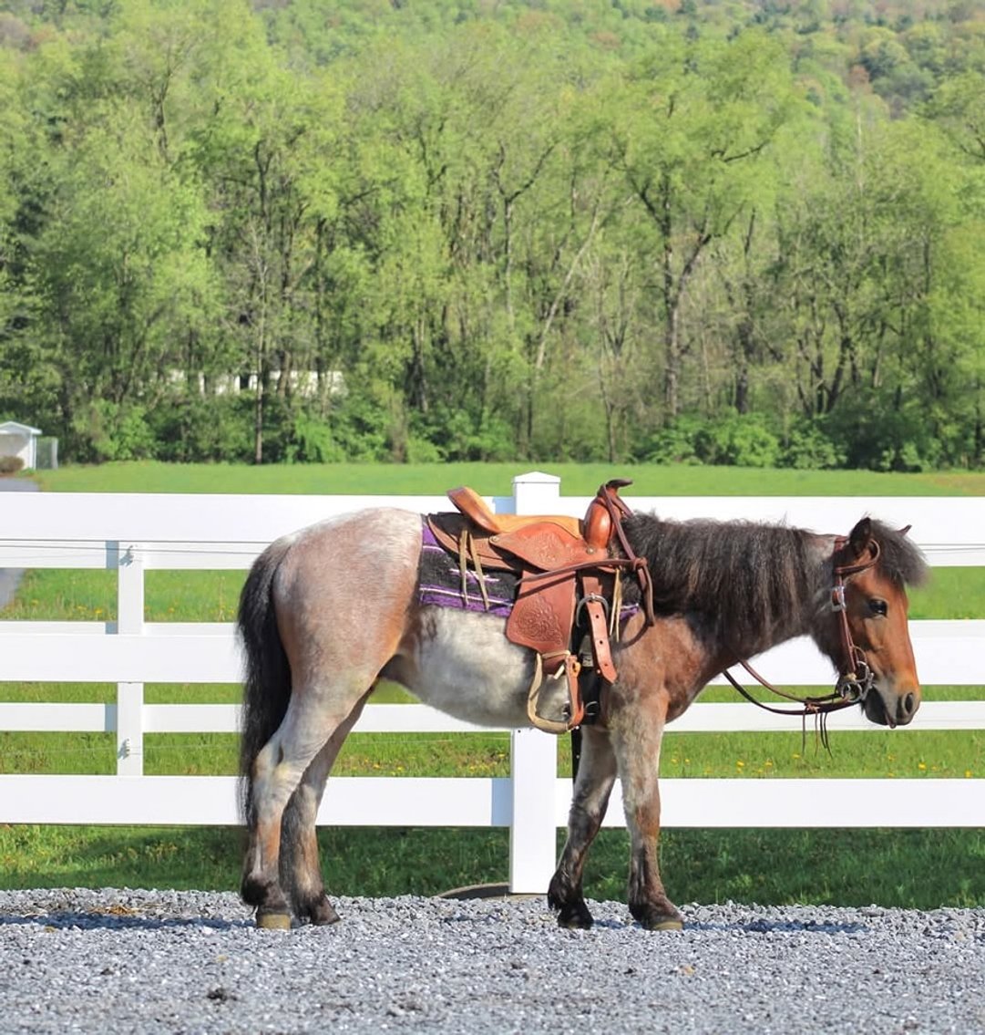 Image for KS Select Spring Sale