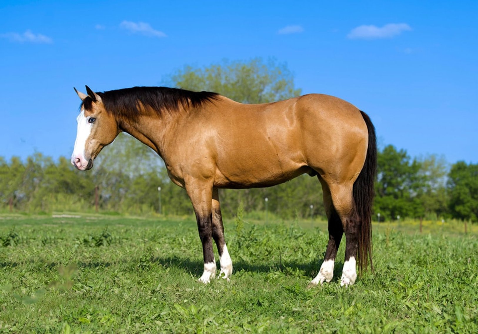 Image for KS Select Spring Sale