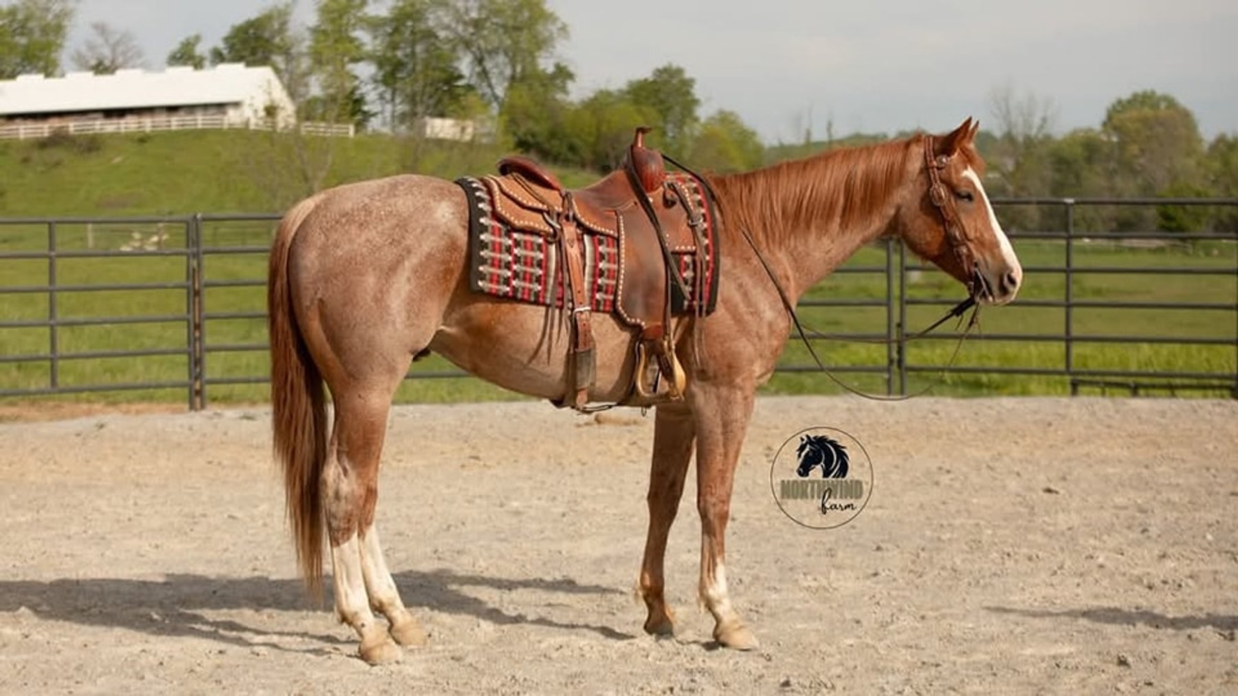 Image for KS Select Spring Sale