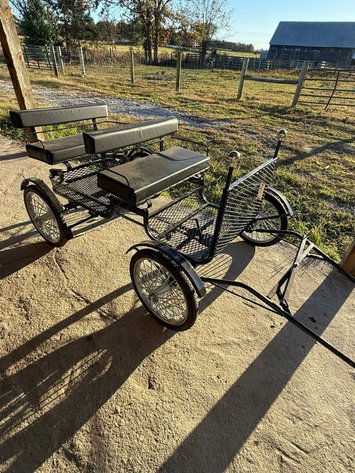 Image for Bluegrass East Fall Horse Sale