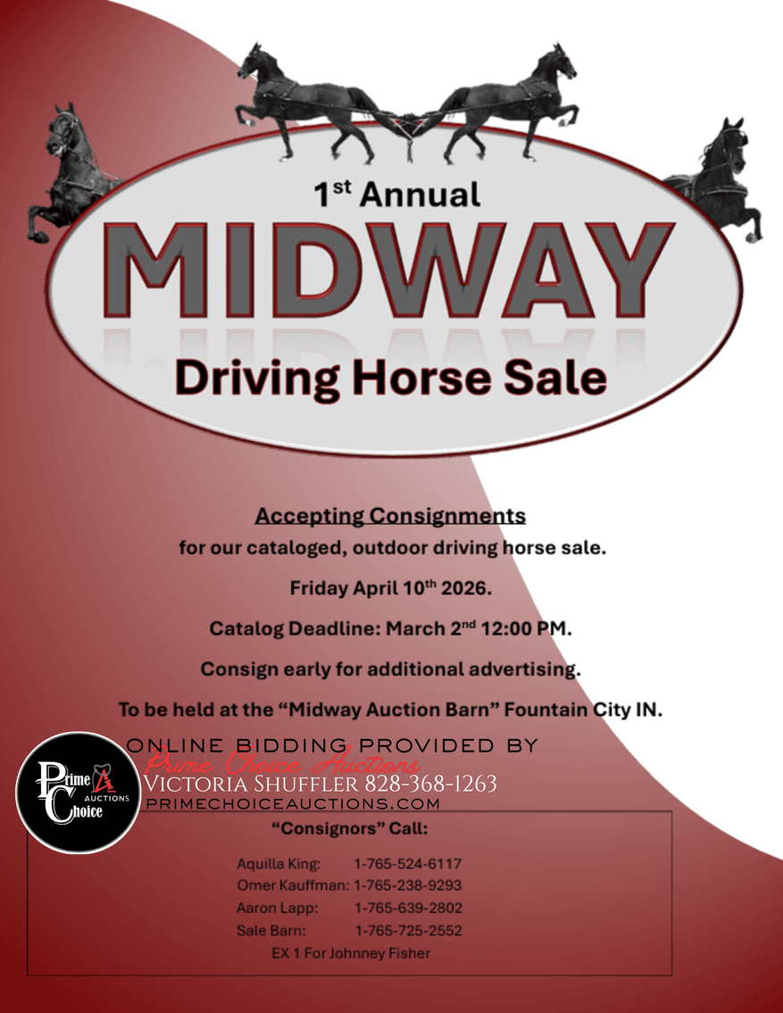 Image for Midway Driving Horse Sale