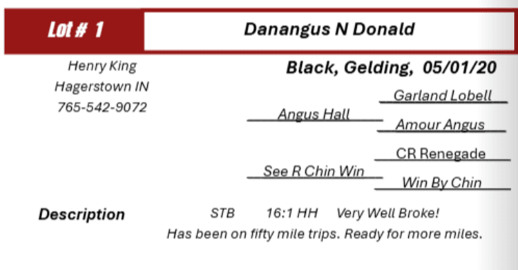 Image for Midway Driving Horse Sale