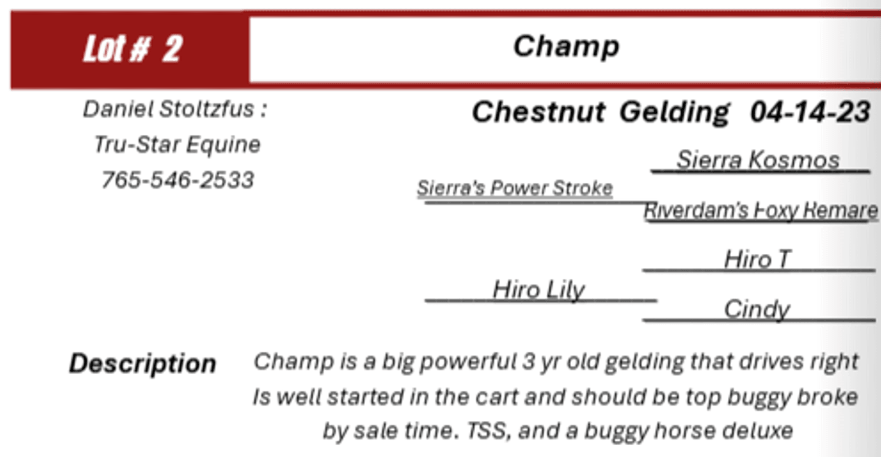 Image for Midway Driving Horse Sale