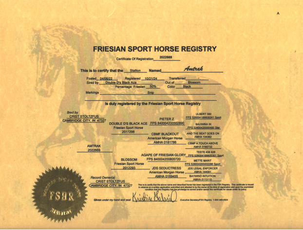 Image for Midwest Riding Horse Sale