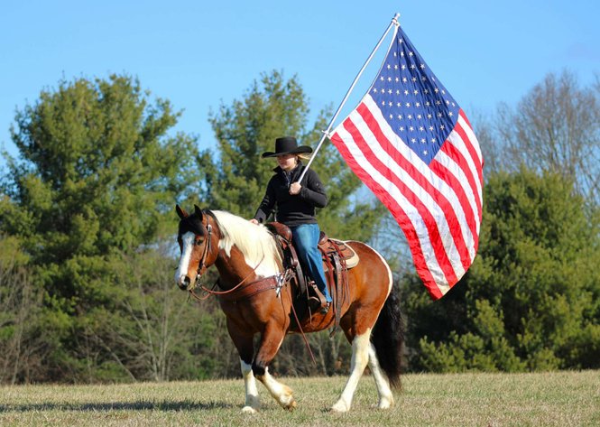 Image for Central PA Haflinger & Riding Horse Sale