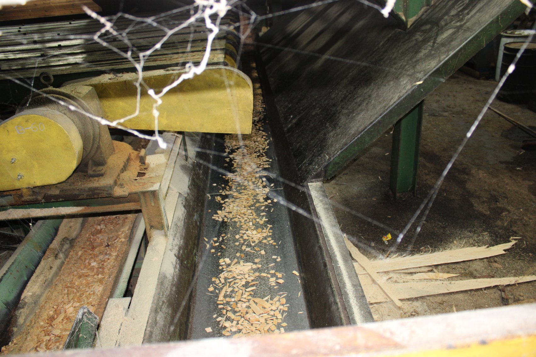 Image for Complete Operation of FL Turlington Lumber Company