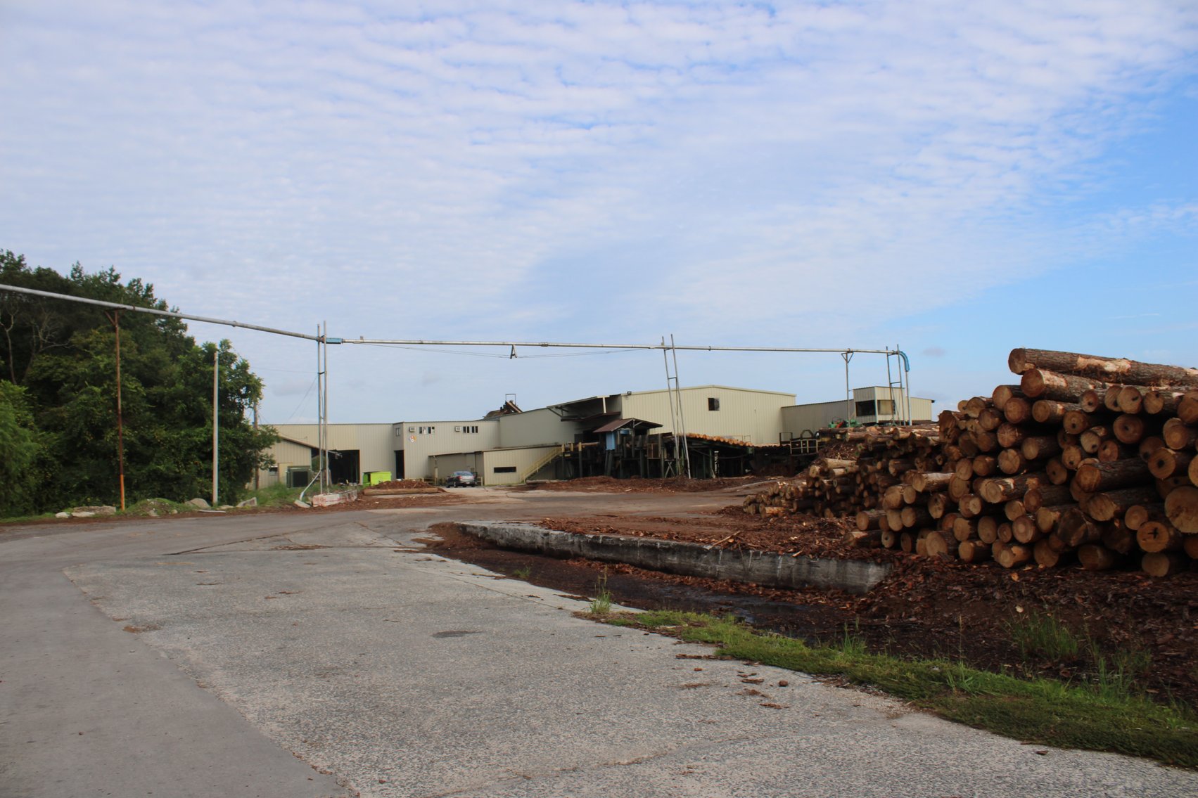 Image for Complete Operation of FL Turlington Lumber Company
