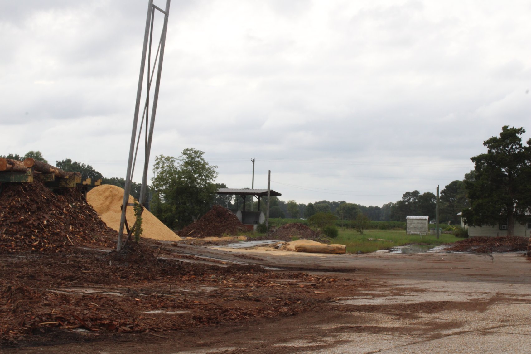 Image for Complete Operation of FL Turlington Lumber Company