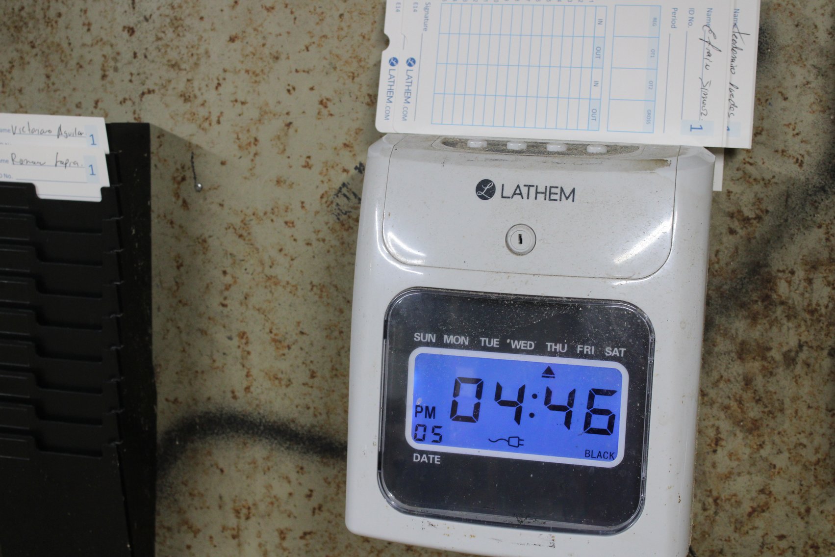 Image for Complete Operation of FL Turlington Lumber Company