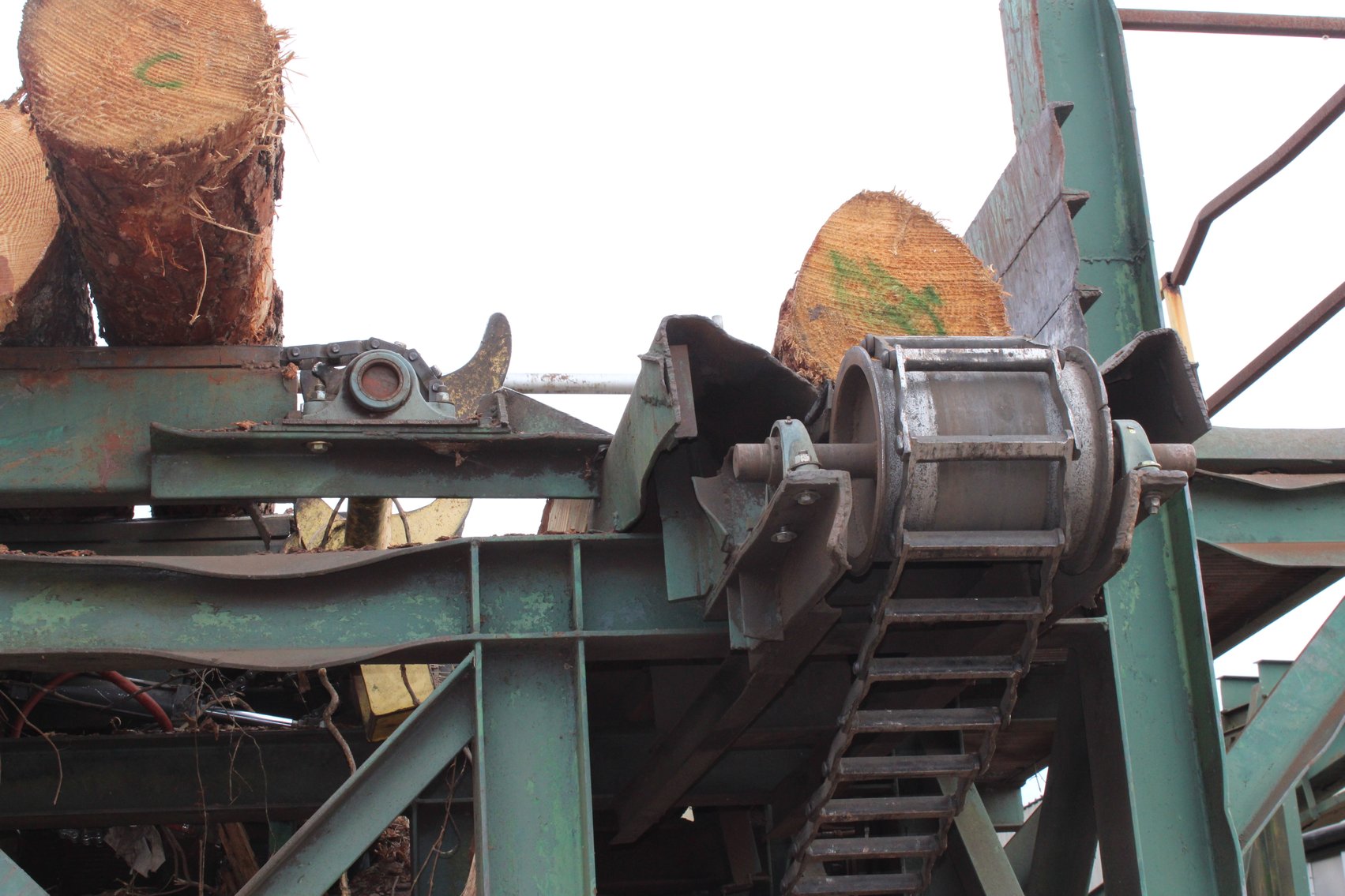 Image for Complete Operation of FL Turlington Lumber Company