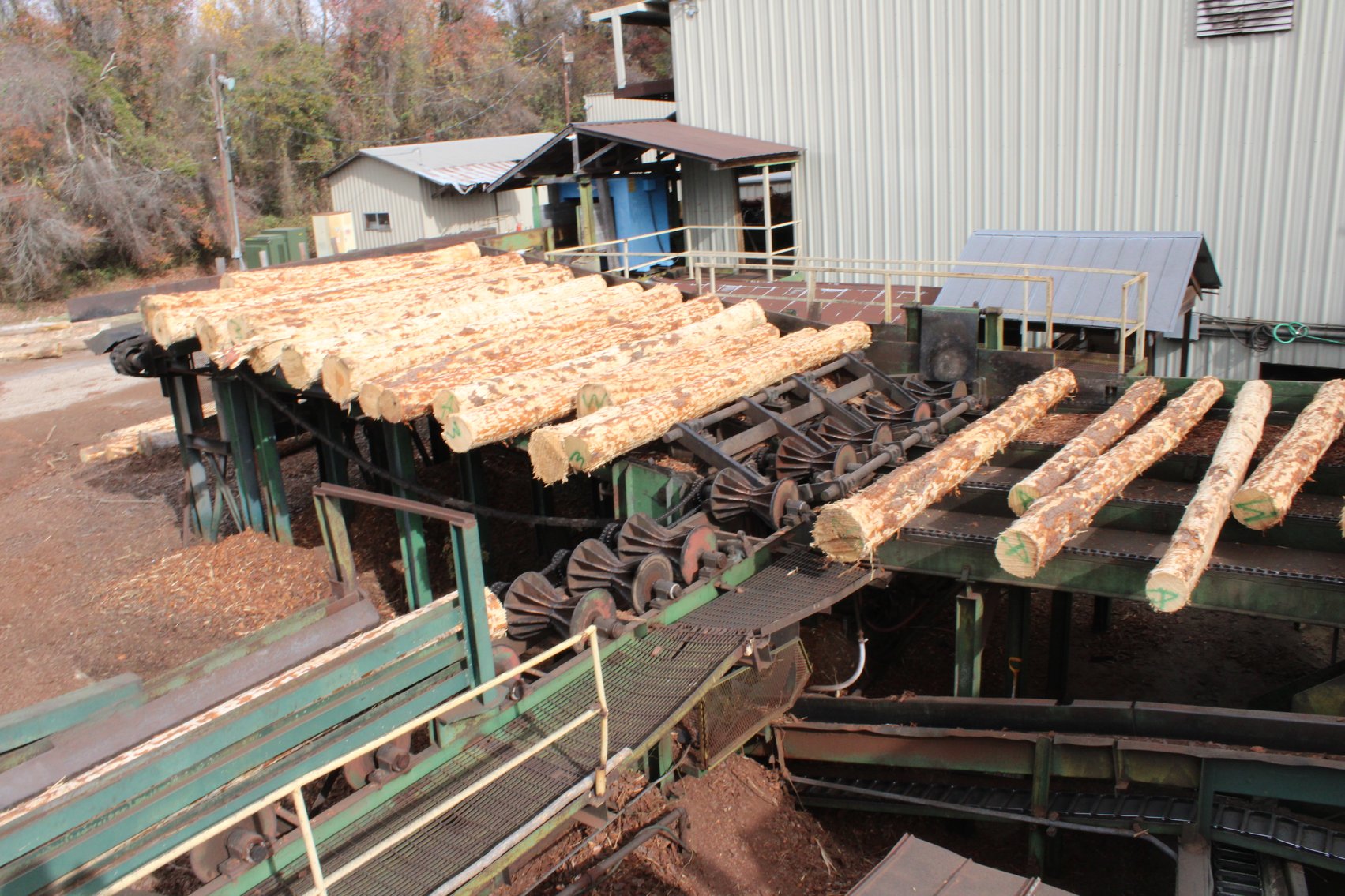 Image for Complete Operation of FL Turlington Lumber Company