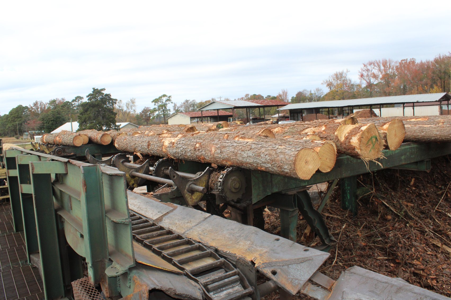 Image for Complete Operation of FL Turlington Lumber Company