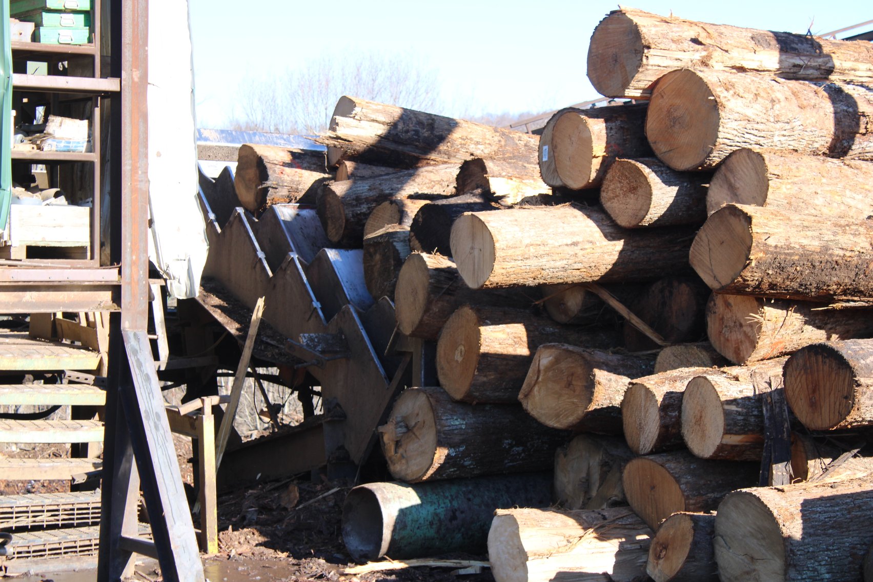 Image for Clinch River Forest Products, Inc Tazewell, VA