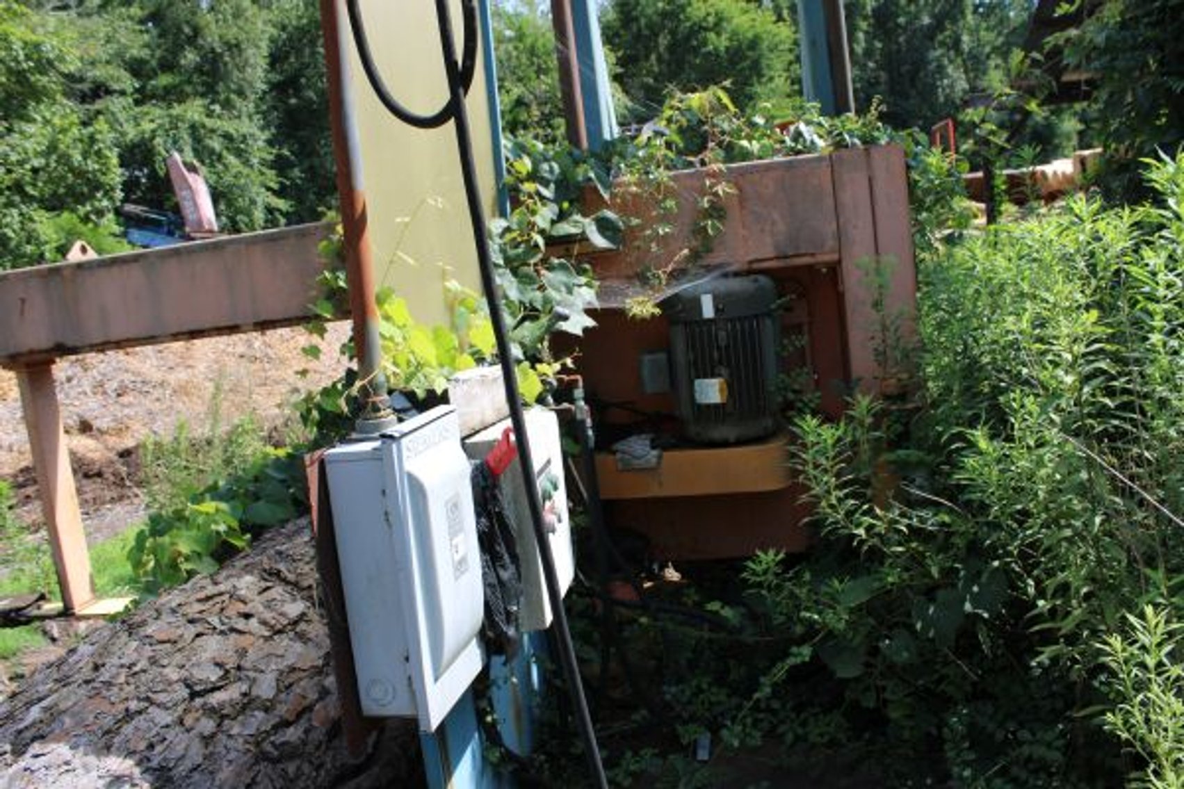 Image for COMPLETE SAWMILL OPERATION