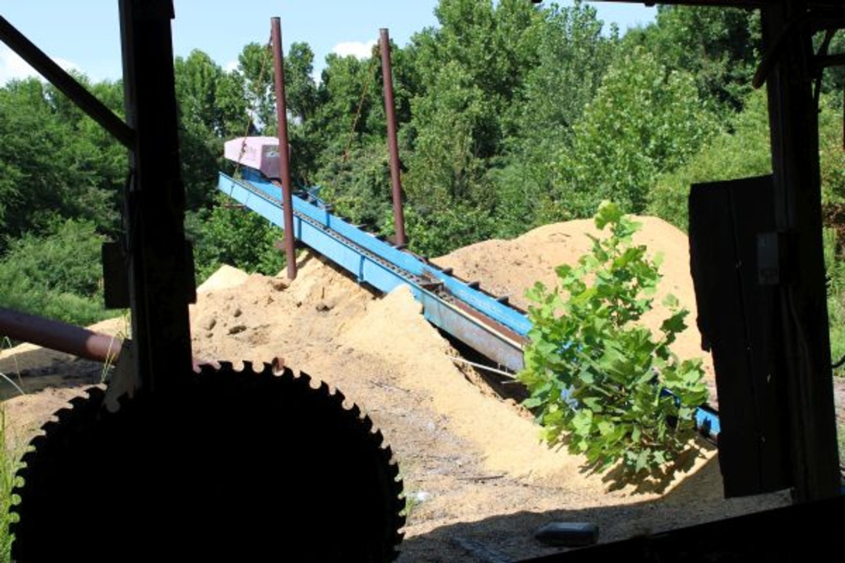 Image for COMPLETE SAWMILL OPERATION