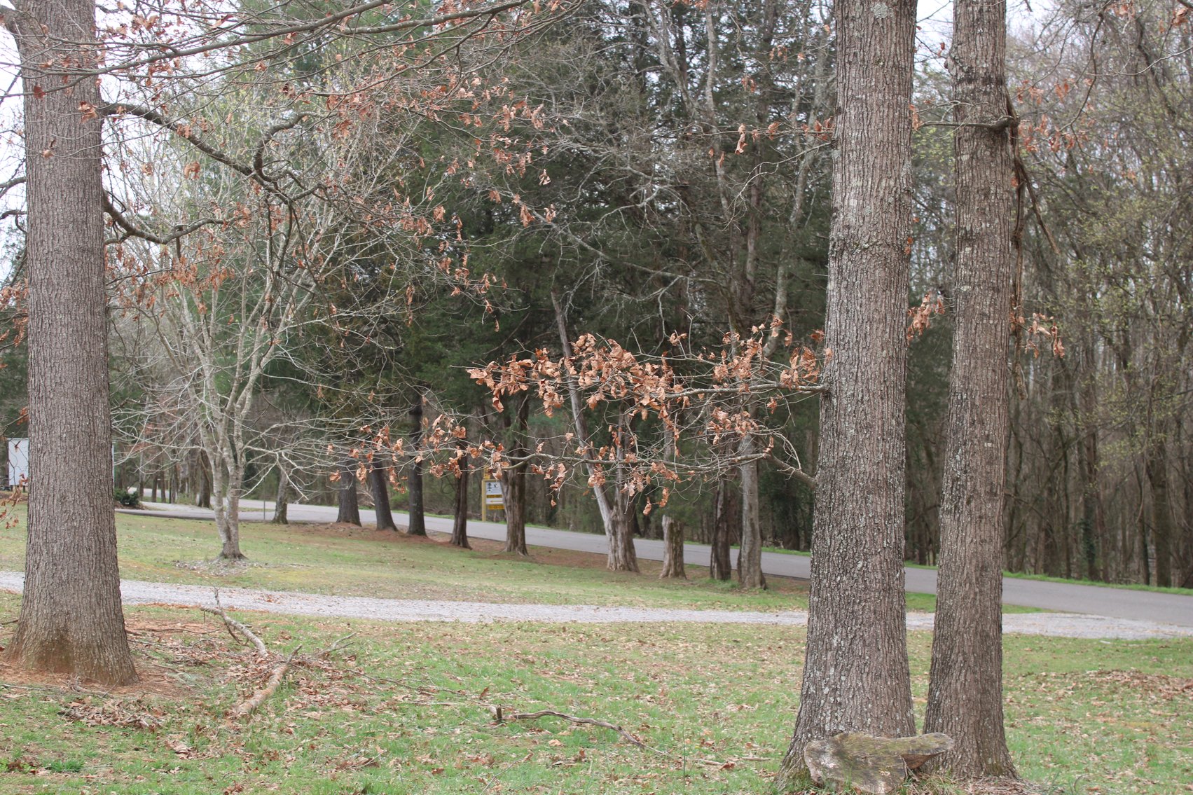 Image for 628 Cypress Creek Marina Road