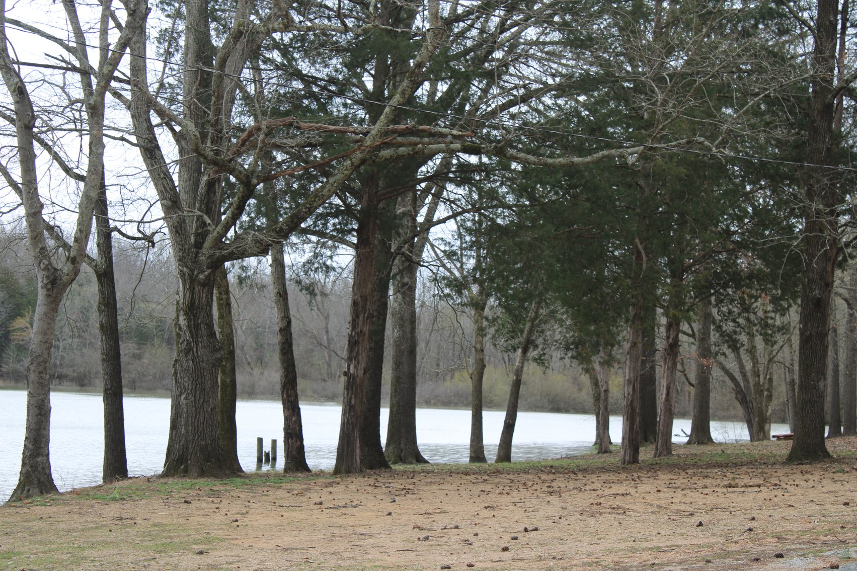 Image for 628 Cypress Creek Marina Road