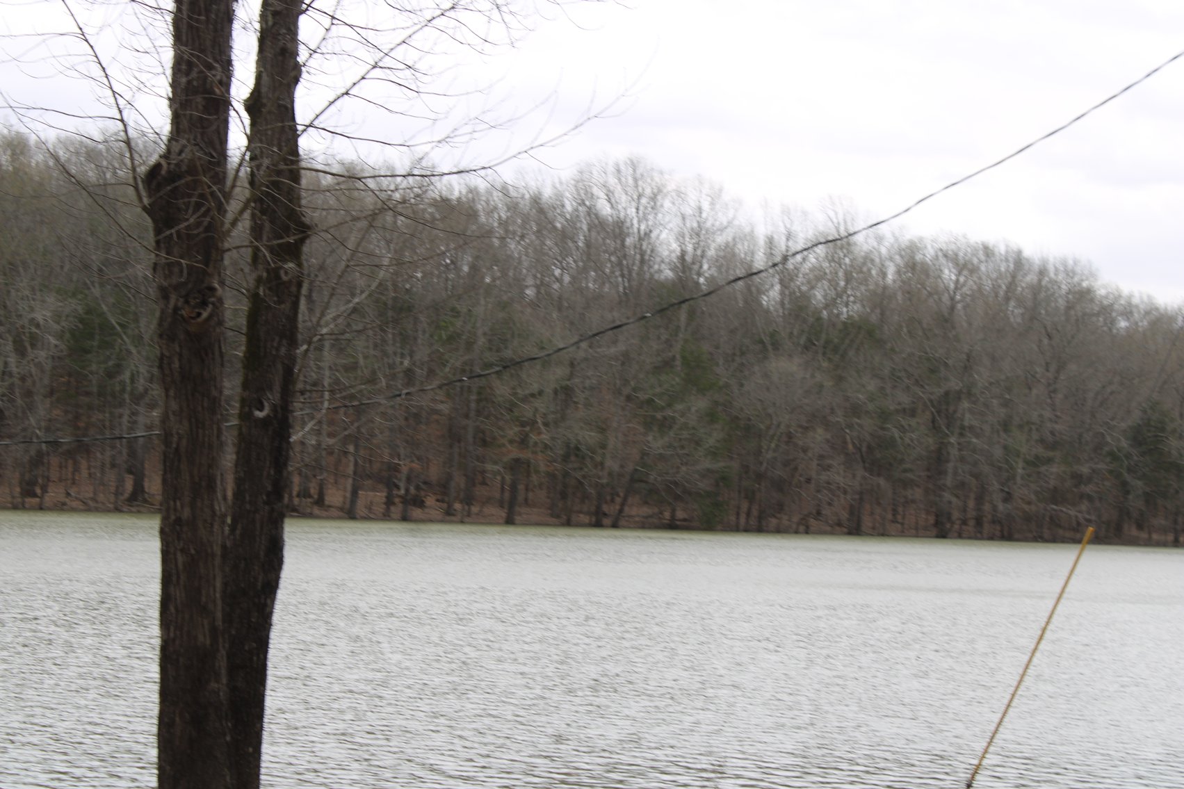 Image for 628 Cypress Creek Marina Road