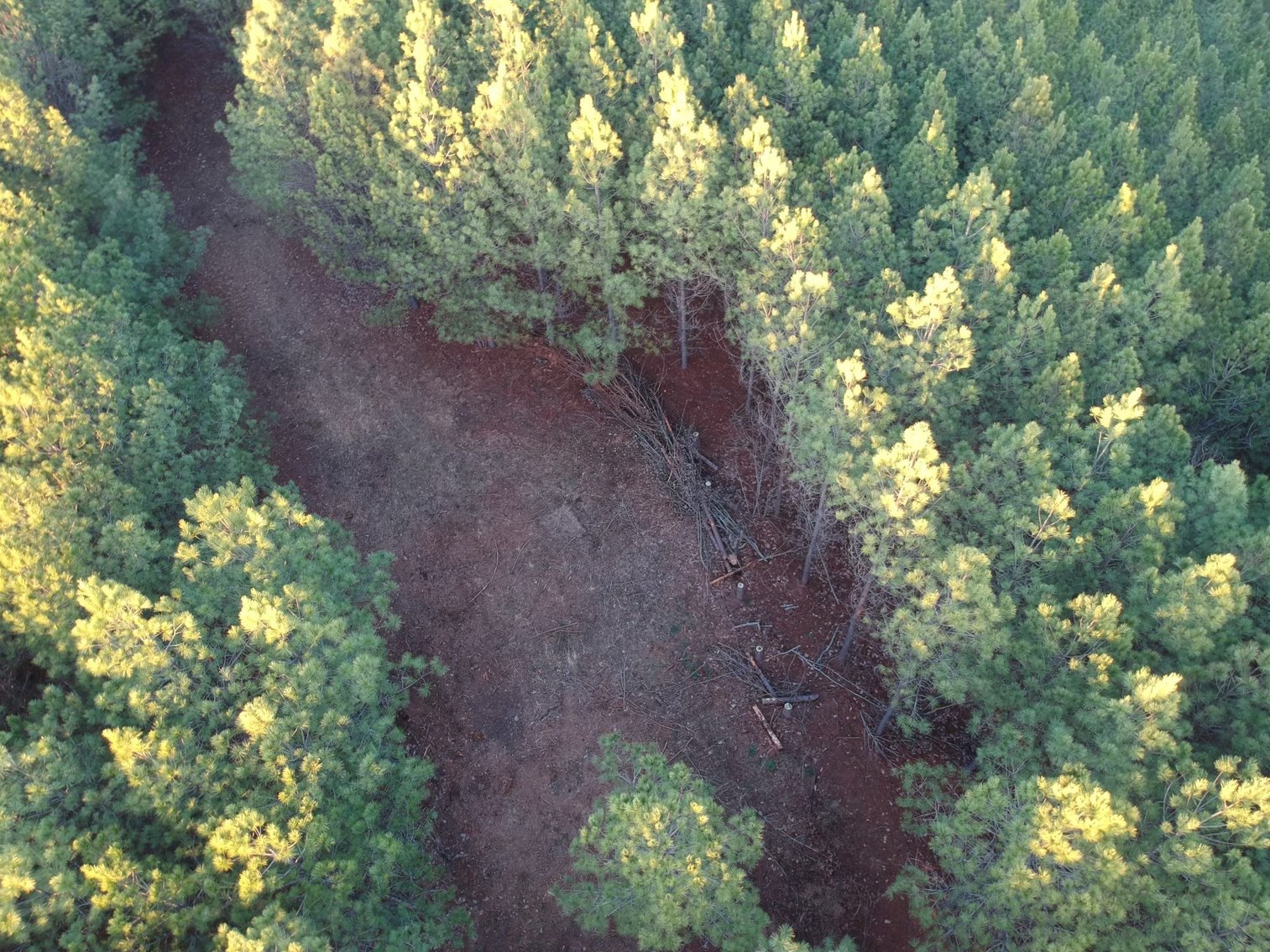 Image for 210 Ridgewood Dr, Linden, TN - 10 Acres