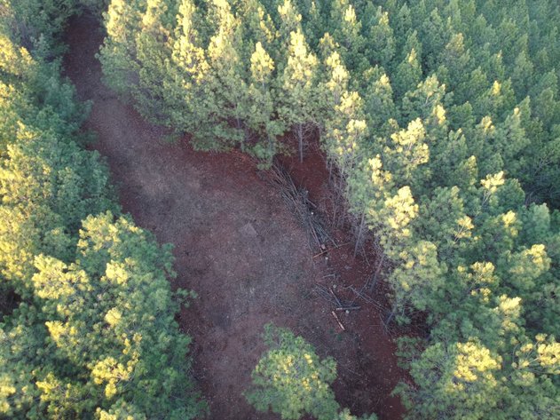 Image for 210 Ridgewood Dr, Linden, TN - 10 Acres