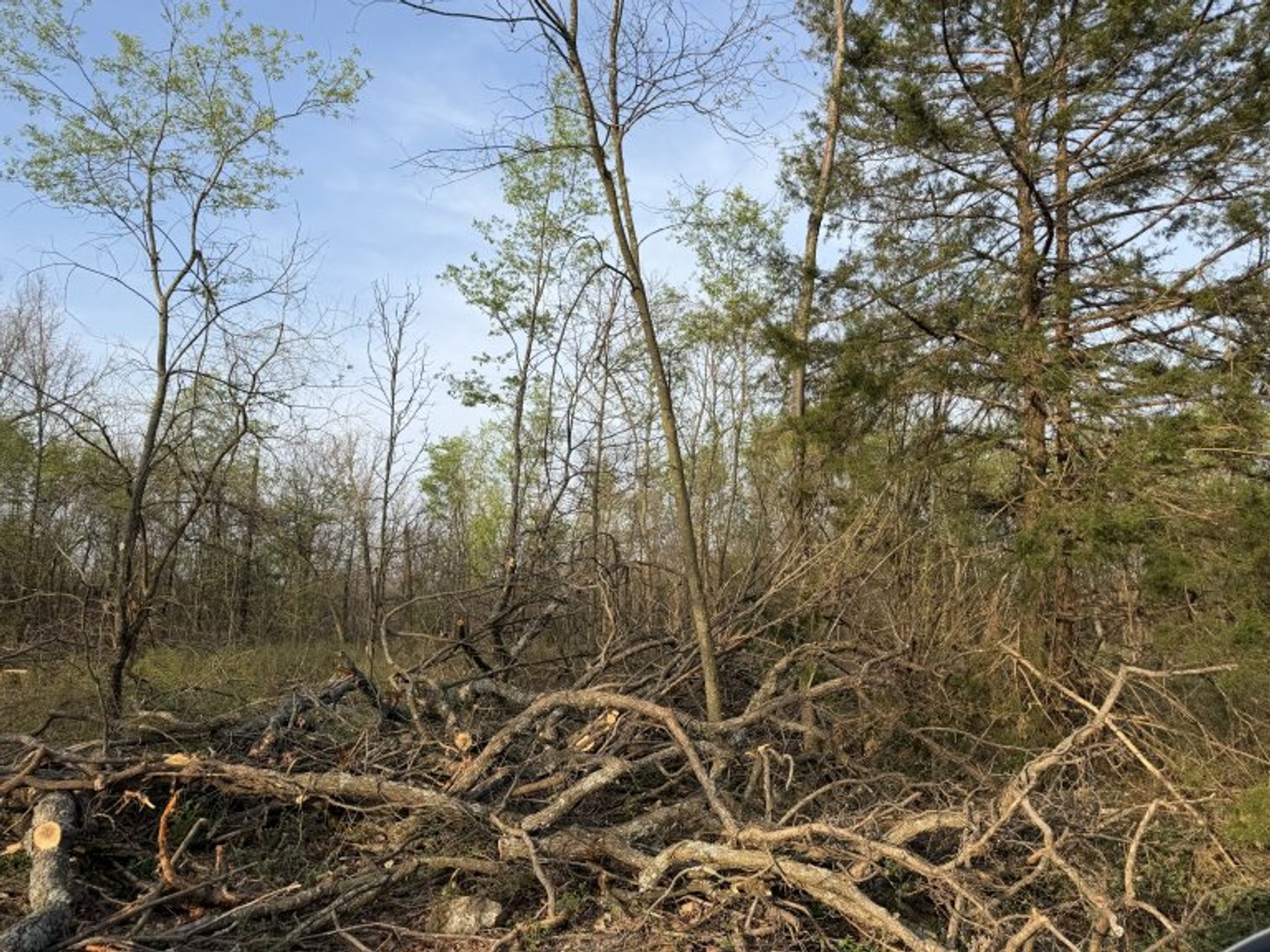 Image for PRATER HARDWOOD PRODUCTS, OK