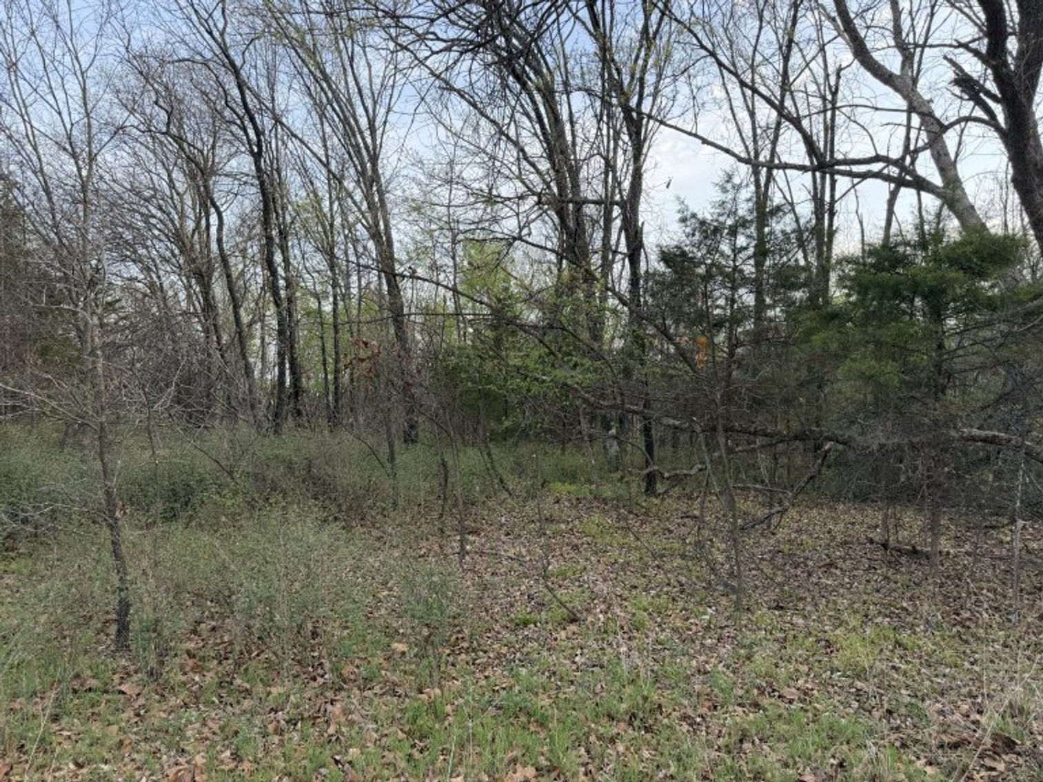 Image for PRATER HARDWOOD PRODUCTS, OK