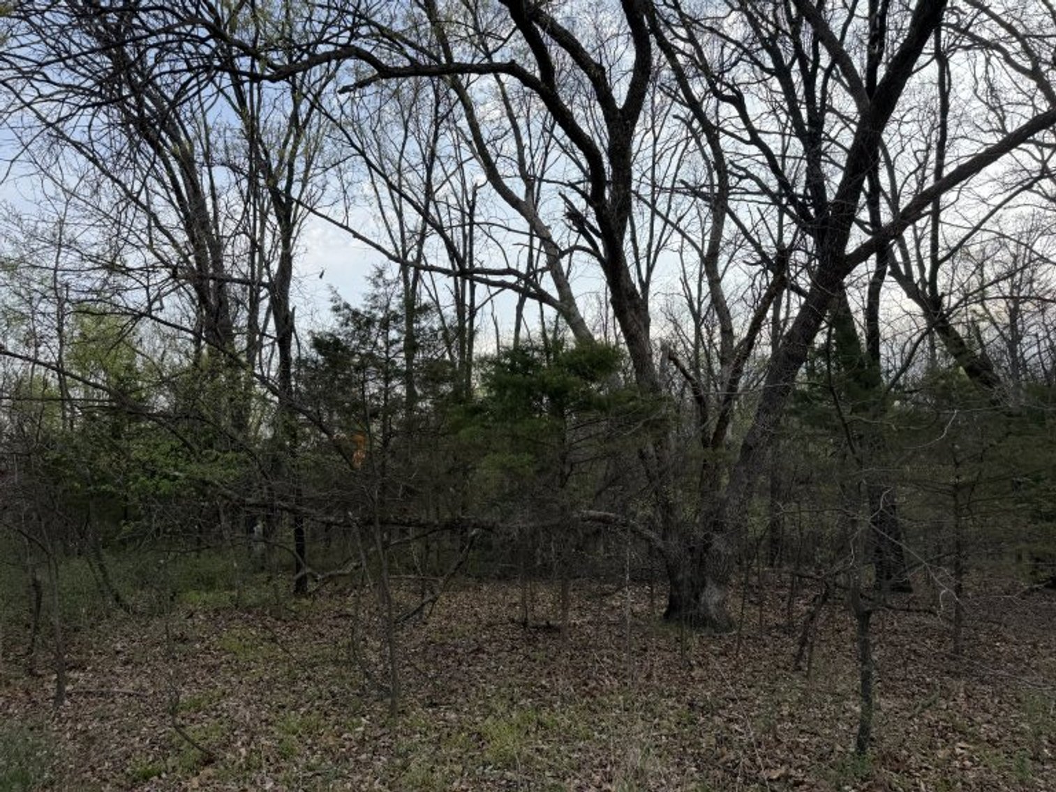 Image for PRATER HARDWOOD PRODUCTS, OK