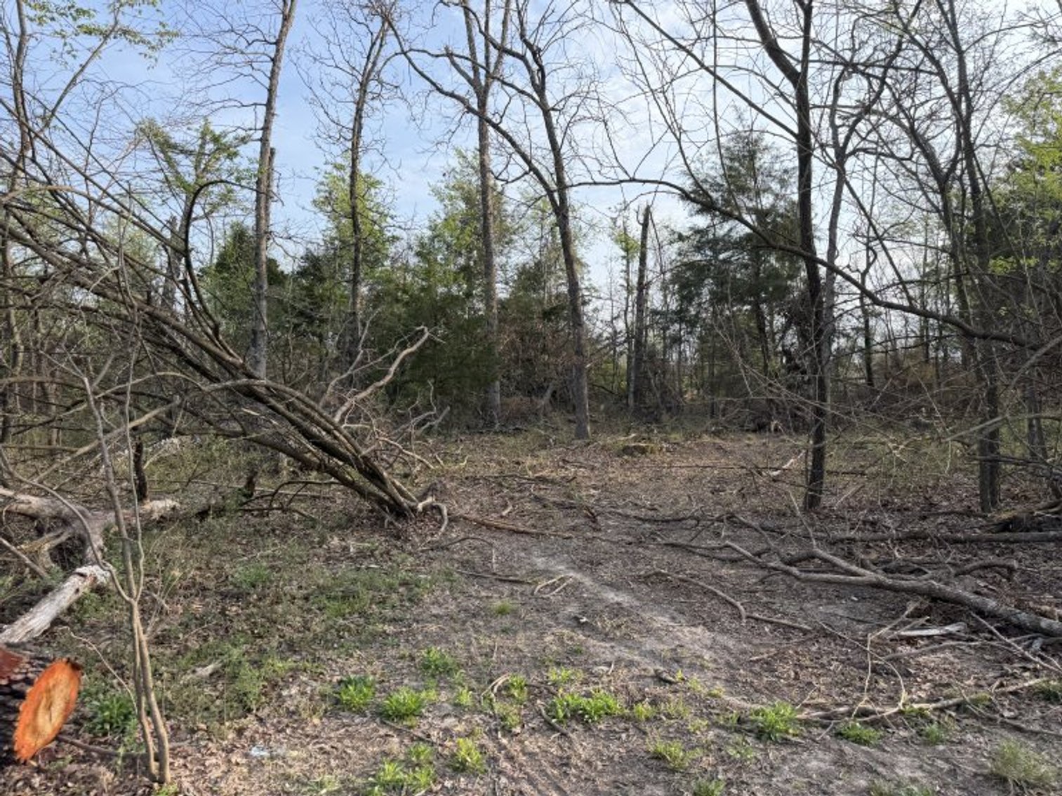 Image for PRATER HARDWOOD PRODUCTS, OK